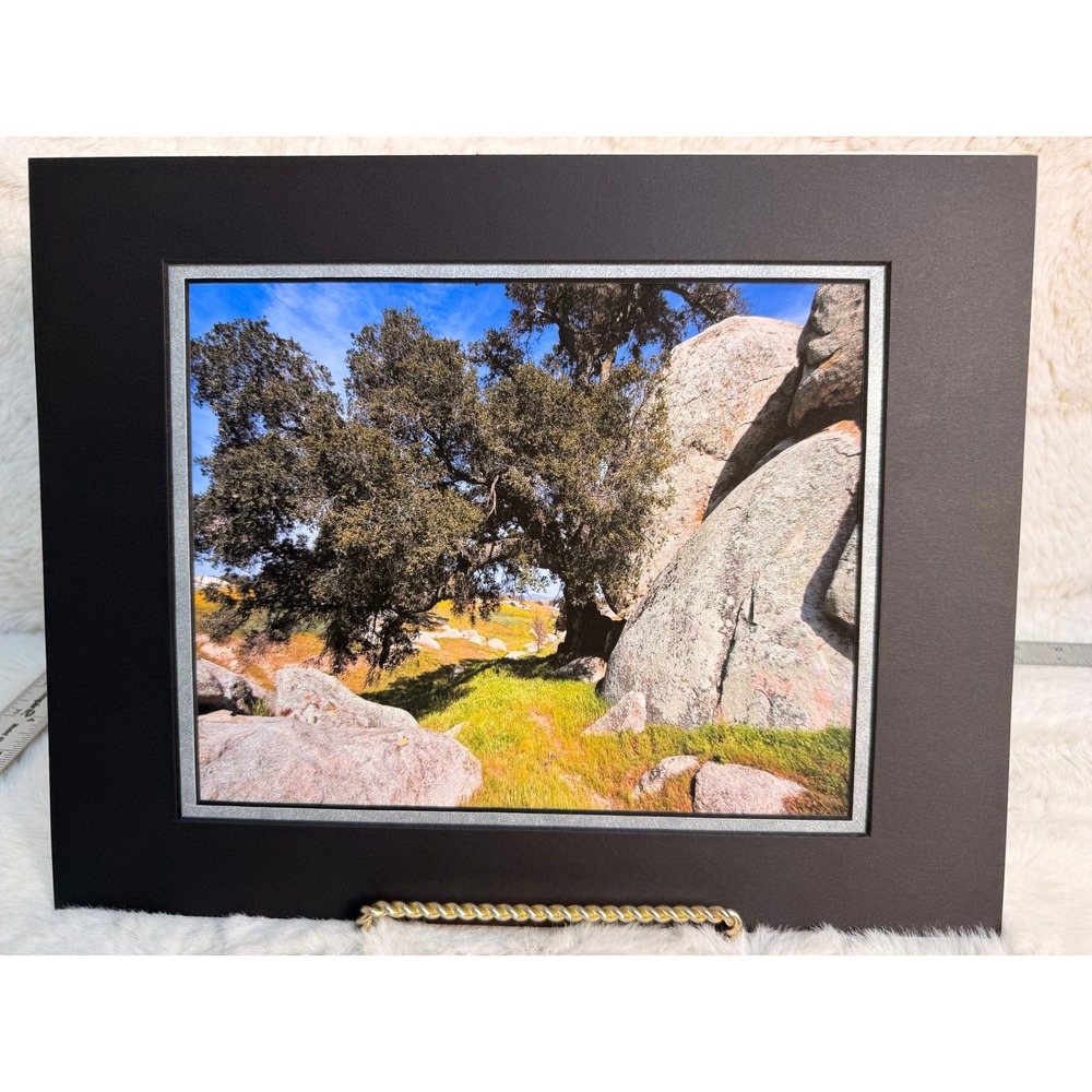Signed Photography Art Warner Springs Calif Landscape Nature‎ 11x14 Matted Print